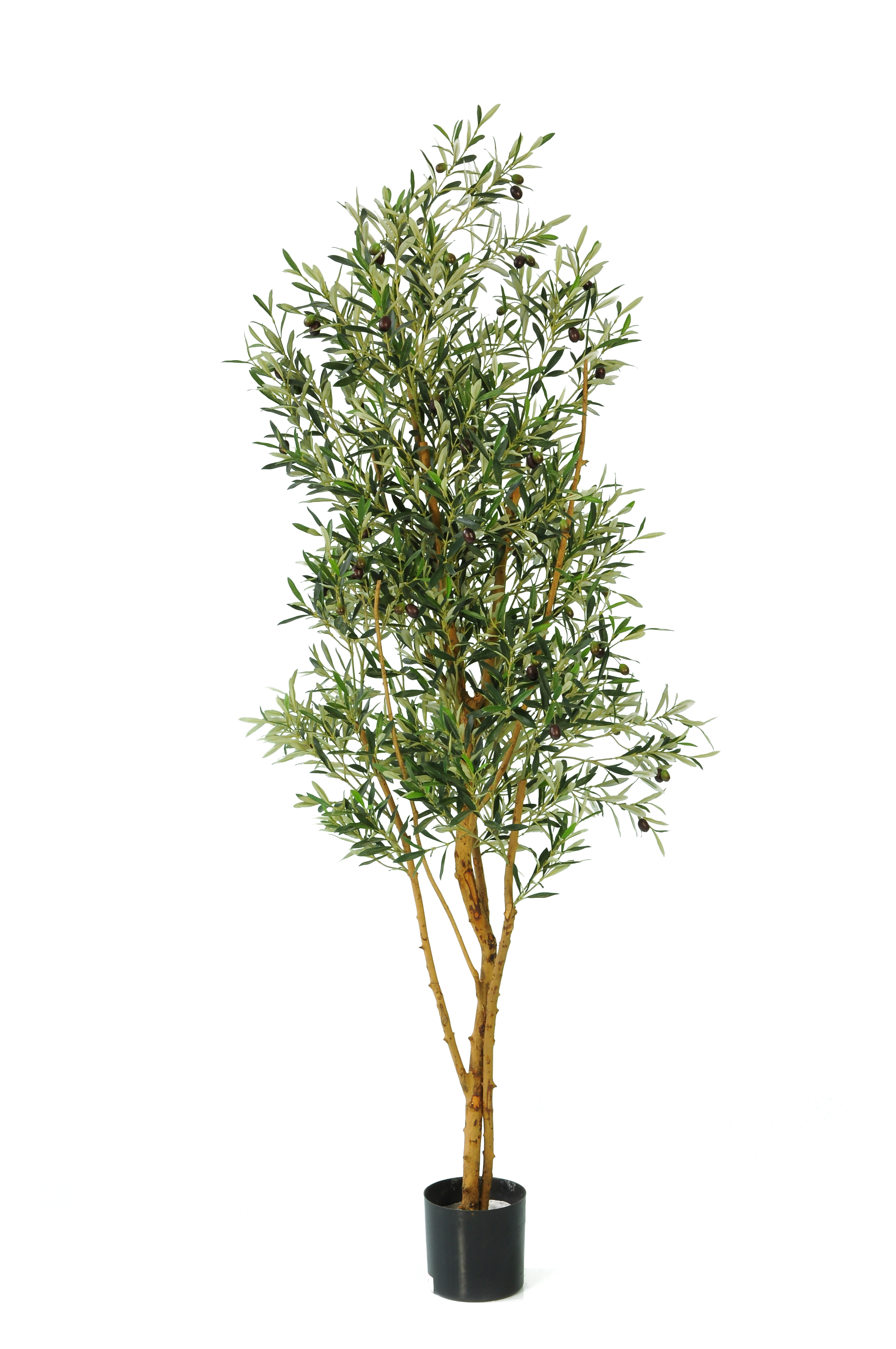 Artificial Olive Trees